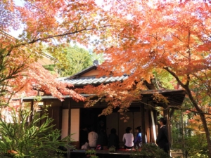 第24回成田山公園紅葉まつり
